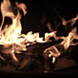 Meet your Posher, Misty jo